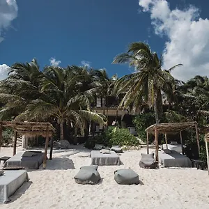 https://nest-tulum.tulum-hotels.net