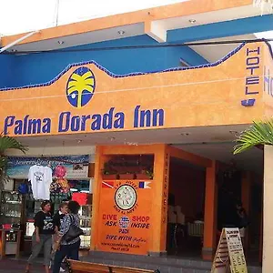 https://palma-dorada-inn.allrivieramayahotels.com