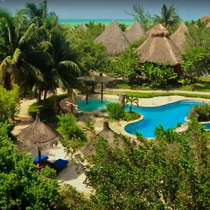 Delfines Isla Holbox